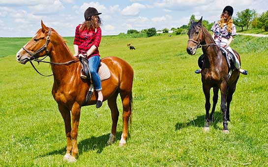Horseback Riding Travel Insurance