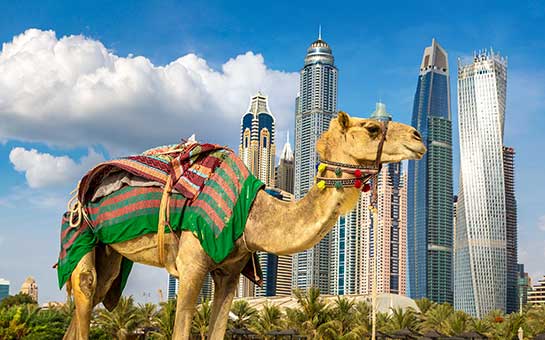 Seguro de viaje a los Emiratos Árabes Unidos